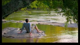 التأمل الهادئ: التعبير عن لحظات التأمل في الحياة الساكنة