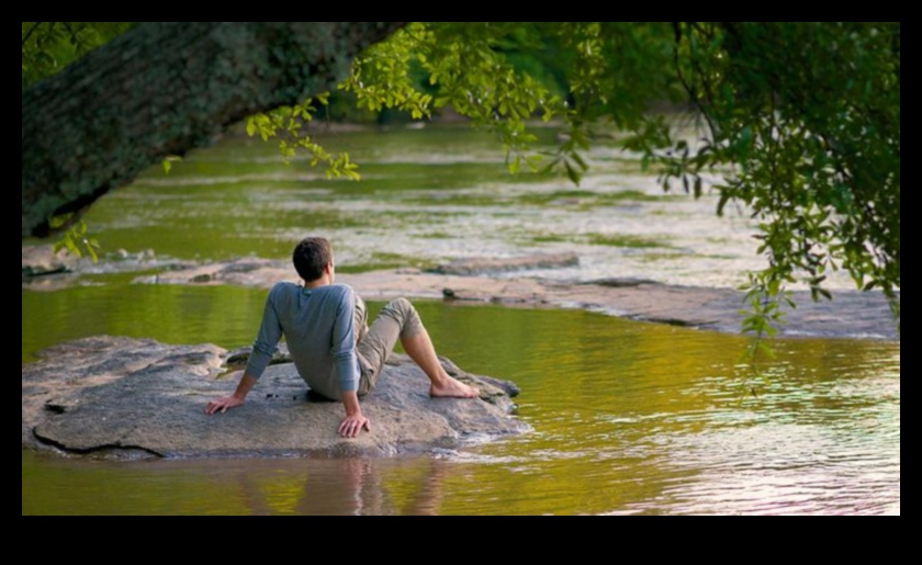 التأمل الهادئ: التعبير عن لحظات التأمل في الحياة الساكنة