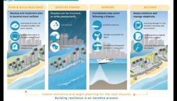 كيف تتكيف المناظر الطبيعية الساحلية مع تحديات ارتفاع منسوب مياه البحر؟