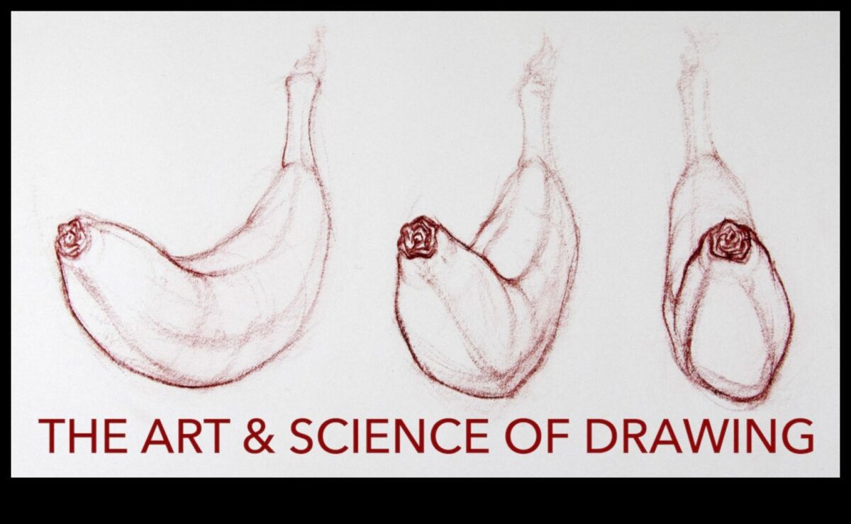 فن الكنتور: تعزيز التفاصيل في الرسومات الشكلية