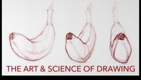 فن الكنتور: تعزيز التفاصيل في الرسومات الشكلية