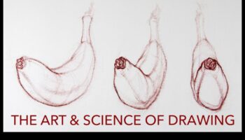 فن الكنتور: تعزيز التفاصيل في الرسومات الشكلية