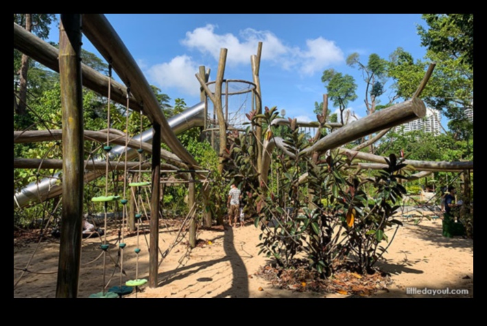 كيف تساهم المناظر الطبيعية في الجاذبية البصرية للحدائق النباتية؟