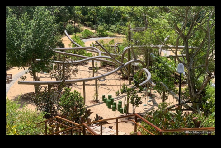 كيف تساهم المناظر الطبيعية في الجاذبية البصرية للحدائق النباتية؟