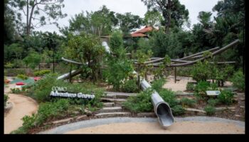 كيف تساهم المناظر الطبيعية في الجاذبية البصرية للحدائق النباتية؟