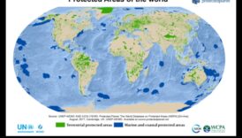 الجنة المحمية III: توسيع المناطق الطبيعية الخاضعة للحماية العالمية