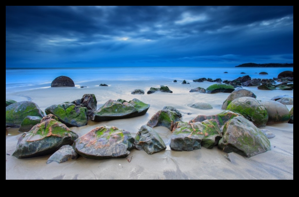 الجمال السامي: الاستمتاع بالمناظر الطبيعية المذهلة