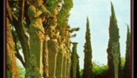 الحدائق التاريخية: حيث يلتقي الزمن بالجمال النباتي