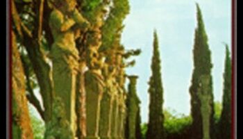 الحدائق التاريخية: حيث يلتقي الزمن بالجمال النباتي