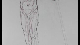 رؤى التشريح: فهم العضلات في رسم الحياة