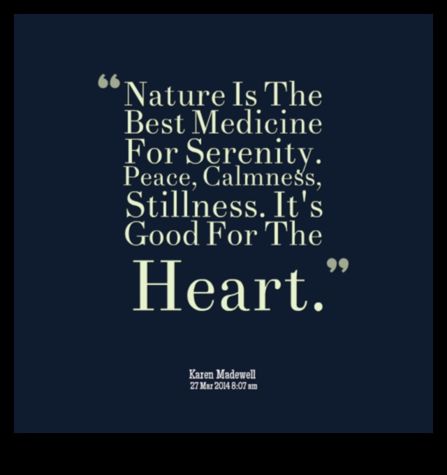 تأملات هادئة: استكشاف مناظر هادئة وهادئة