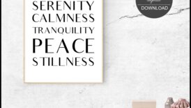 تأملات هادئة: استكشاف مناظر هادئة وهادئة