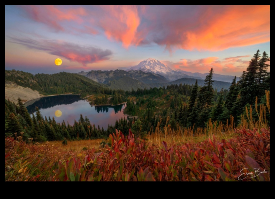 لوحة من الأحلام: تصوير المناظر الطبيعية التعبيرية الملهمة