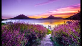 لوحة من الأحلام: تصوير المناظر الطبيعية التعبيرية الملهمة