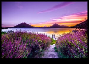 لوحة من الأحلام: تصوير المناظر الطبيعية التعبيرية الملهمة