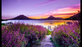 لوحة من الأحلام: تصوير المناظر الطبيعية التعبيرية الملهمة