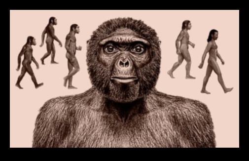 من الرسم إلى المشهد: تتبع تطور الفن التوضيحي