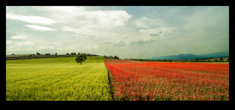 رؤى العظمة: رحلة بانورامية عبر المناظر الطبيعية