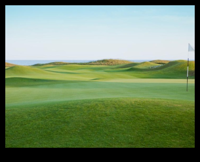 كيف تساهم المناظر الطبيعية في المظهر الجمالي لملاعب الجولف؟