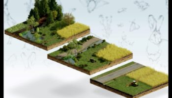 كيف تساهم النظم البيئية المختلفة في التنوع البيولوجي للمناظر الطبيعية؟