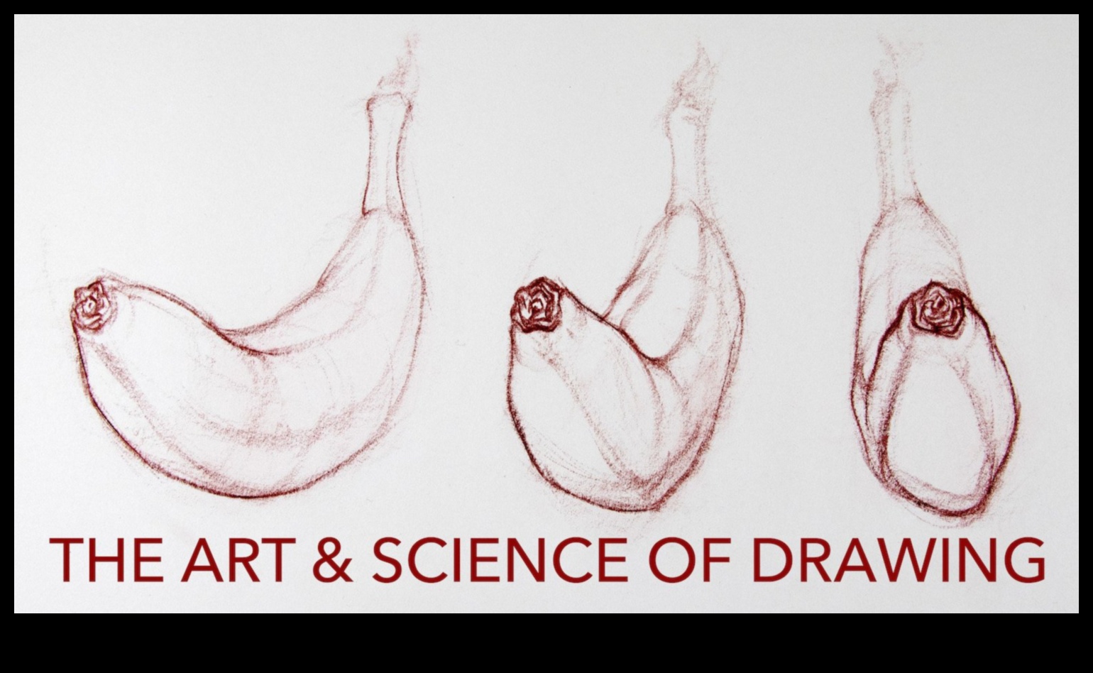 فن الكنتور: تعزيز التفاصيل في الرسومات الشكلية